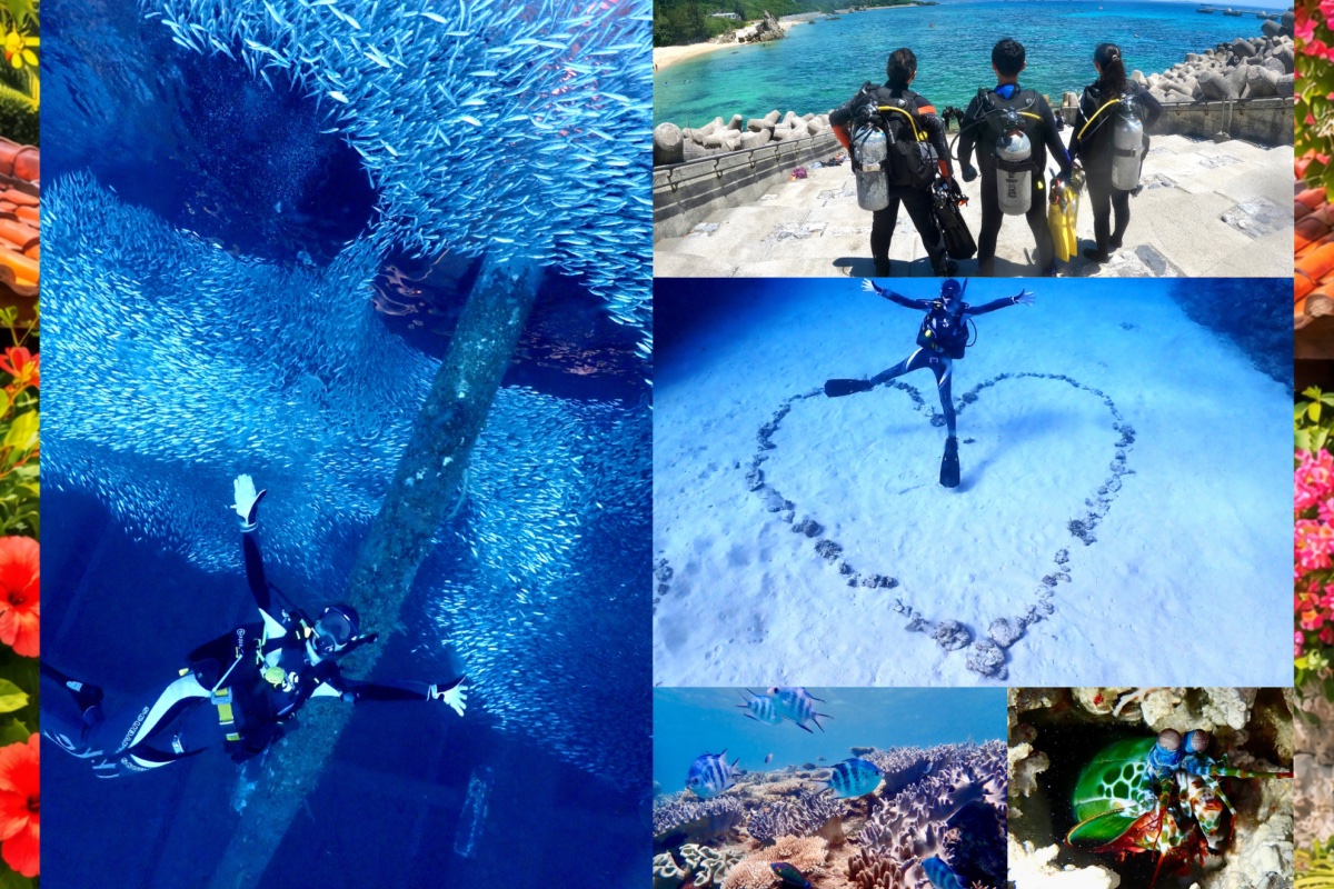 ゴリラチョップ 2ビーチ ファンダイビング