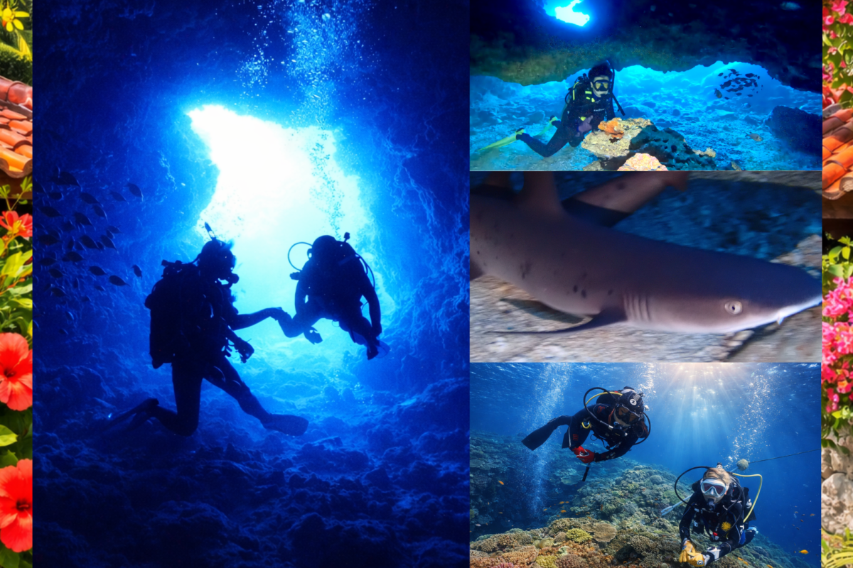 万座 2ボート ファンダイビング