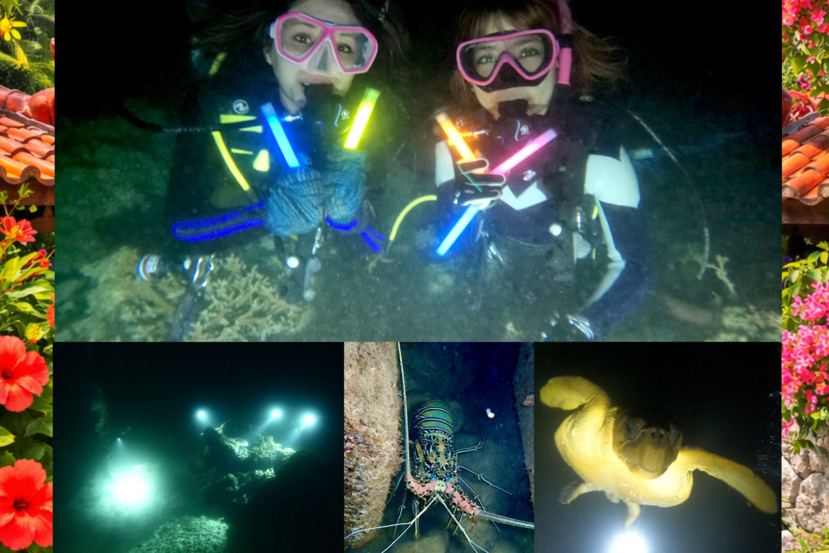 サンセット&ナイトダイビング