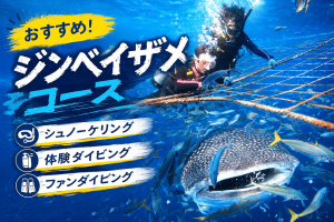 【読谷村】ジンベイザメコースイメージ