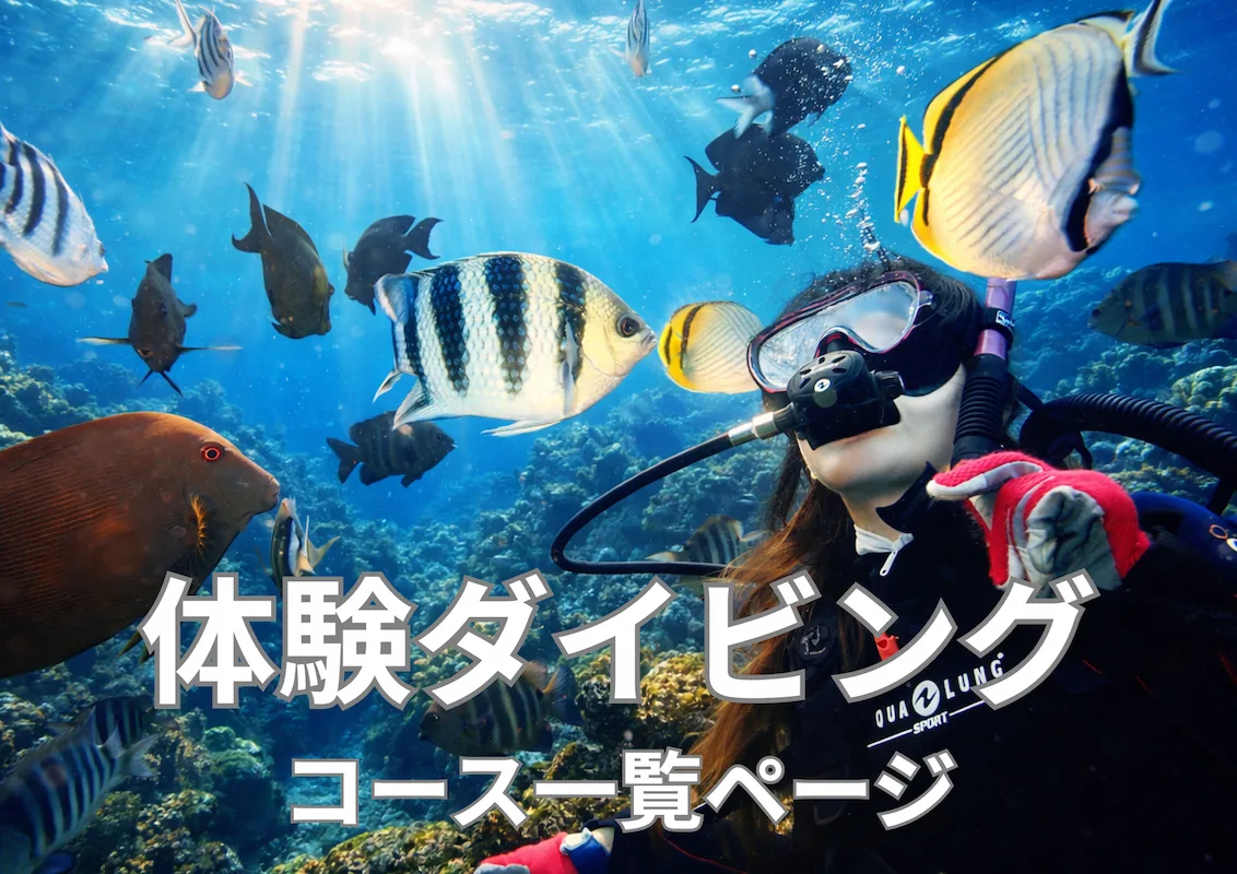 体験ダイビング