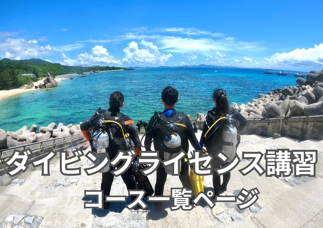ライセンス講習