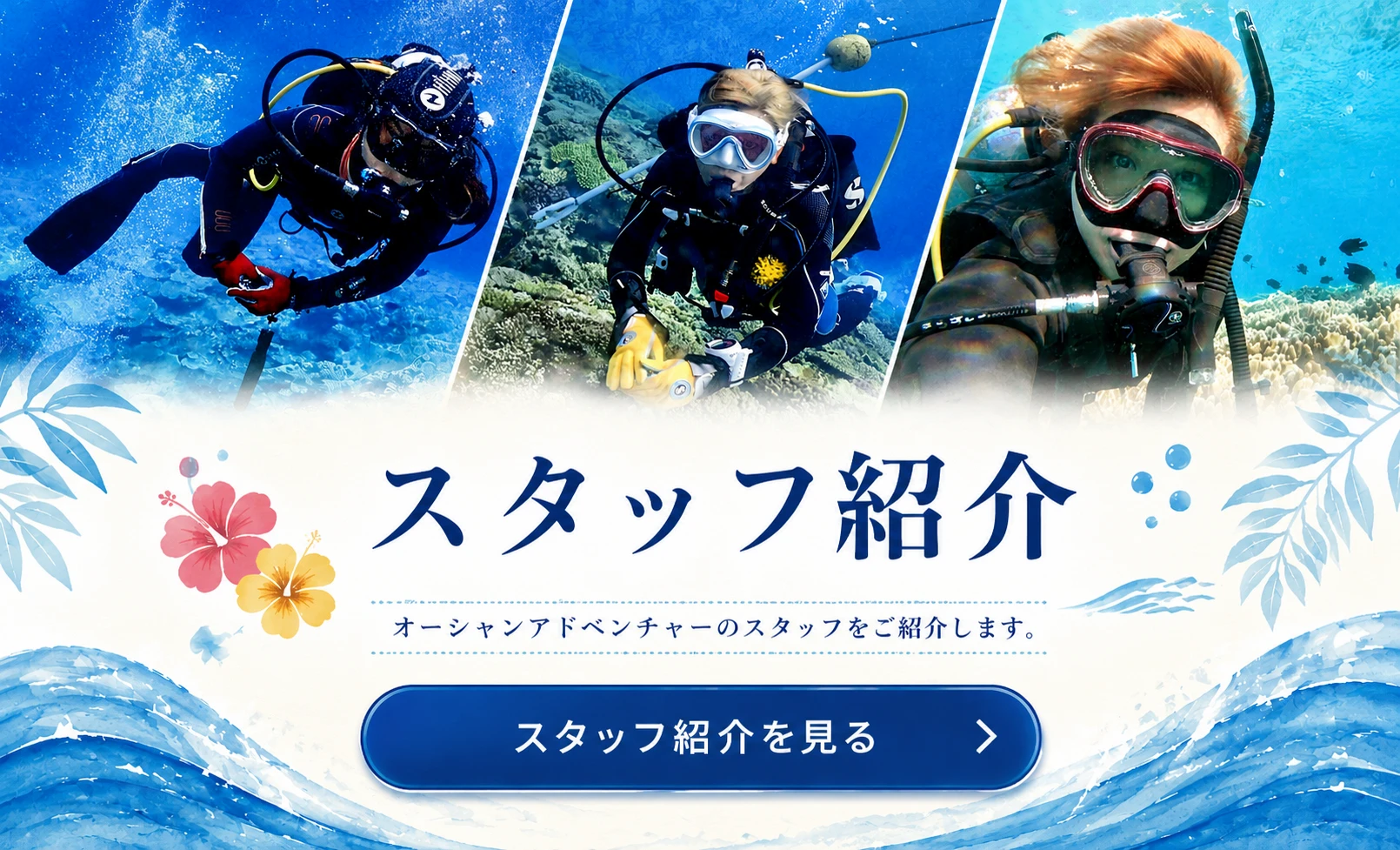 スタッフ紹介